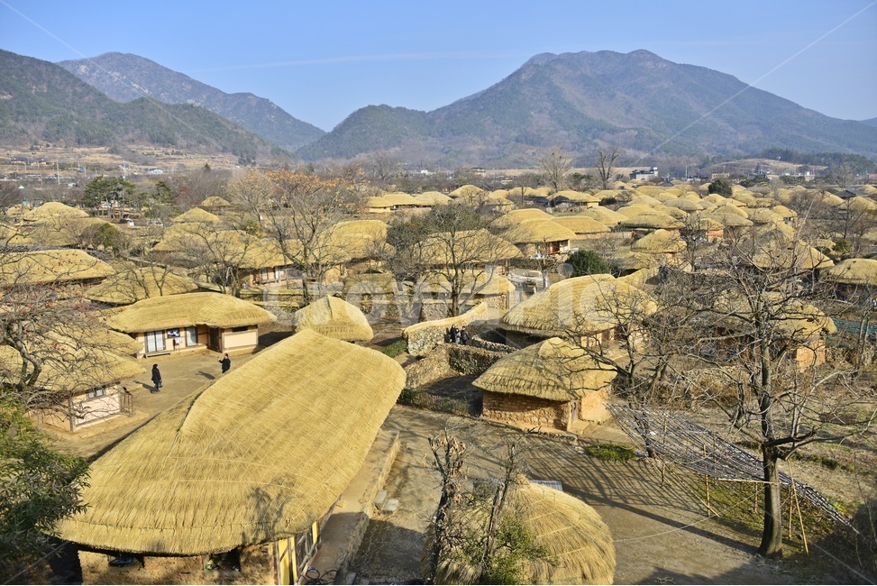순천,낙안읍성,초가집,지붕,nature,자연,outdoors,옥외,hut,오두막,rural,농촌,마을,시골,마을,풍경,landscape,country,rural,town,한국전통,한국문화,korean traditional,korean culture