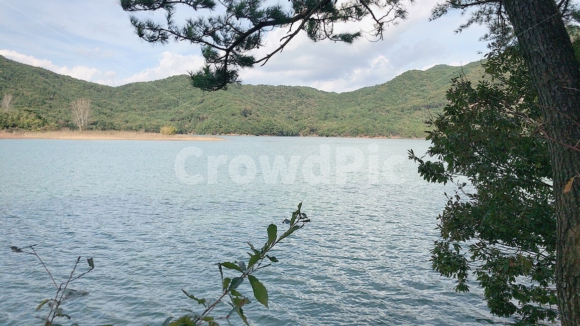 water,물,nature,자연,outdoors,옥외,저수지,호수,산,montain,동네뒷산,뒷산,나무,나뭇잎,가지,줄기,나무줄기,나무가지,나뭇가지,등산,하늘,숲,숲속