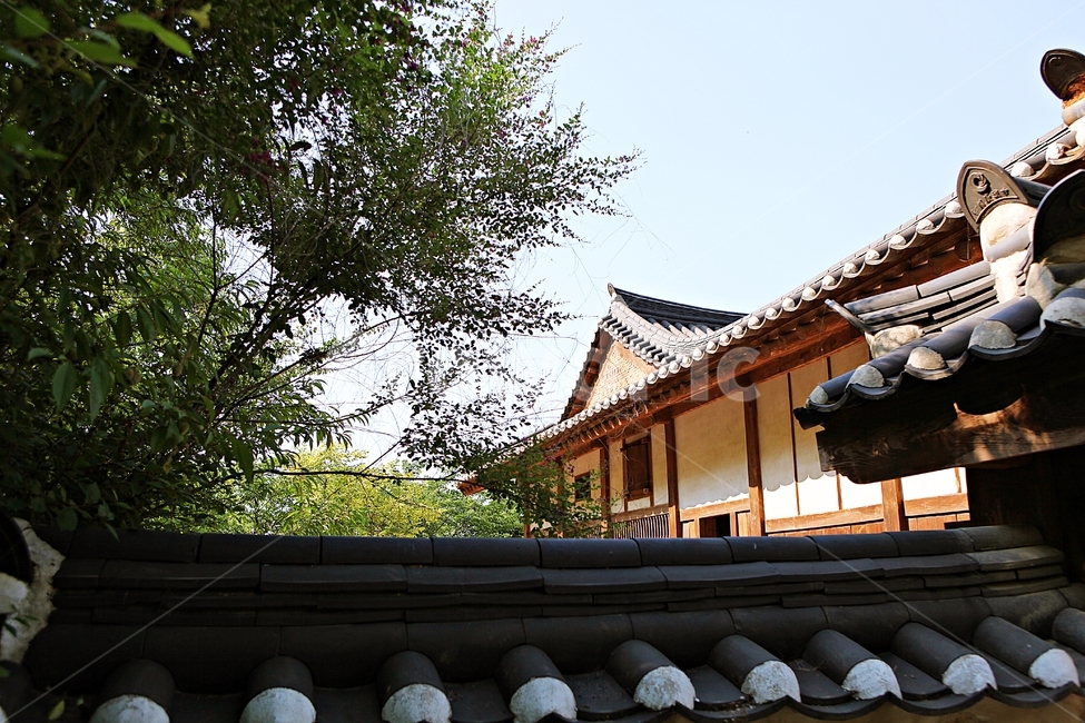 기와집,전통집,한옥,집,옛날집,한국전통,한국문화,korean traditional,korean culture,건축물,건물외관,exterior,building,structure,architecture,construction