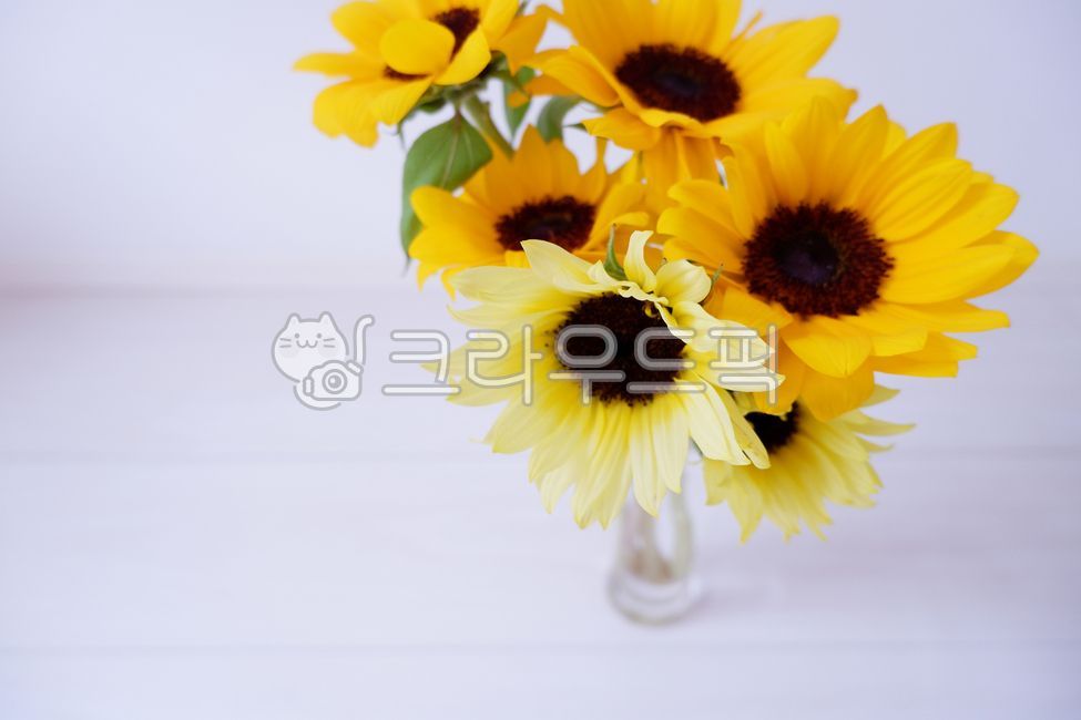 blossom,yellow,bouquet,vase,inside,sunflower,flower,flower flower,plant,sunflower flower