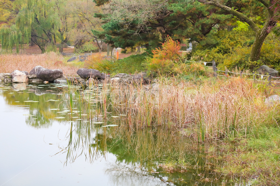 water,물,nature,자연,옥외,가을,계절,fall,autumn,season,자연,풍경,nature,landscape
