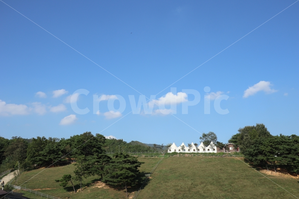 양떼목장,배경화면,배경사진,풍경사진,가을사진,자연,풍경,nature,landscape,한국자연풍경,한국자연경관,korea nature landscape,grass,잔디,plant,식물,outdoors,옥외