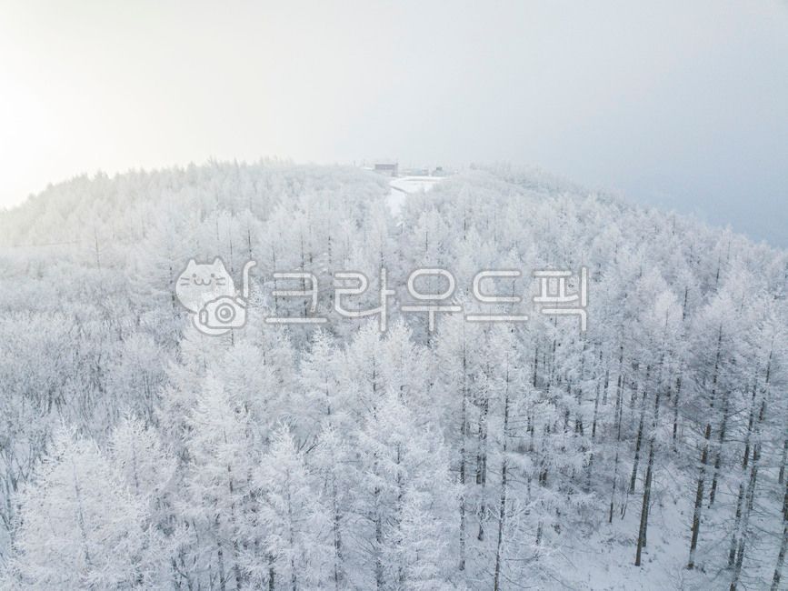 겨울,상고대,눈,겨울산,나무,자연,눈꽃,겨울풍경,숲,겨울숲,nature,outdoors,옥외,ice,fir,식물,plant,tree,빙,전나무,겨울,계절,winter,season,자연,풍경,nature,landscape