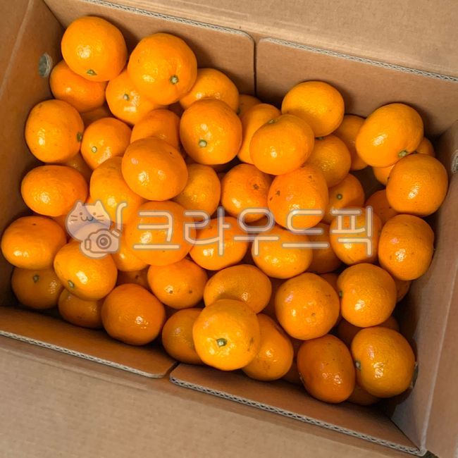 mandarin,citrus fruits,fruit,box,Orange,food,Tangerine Box