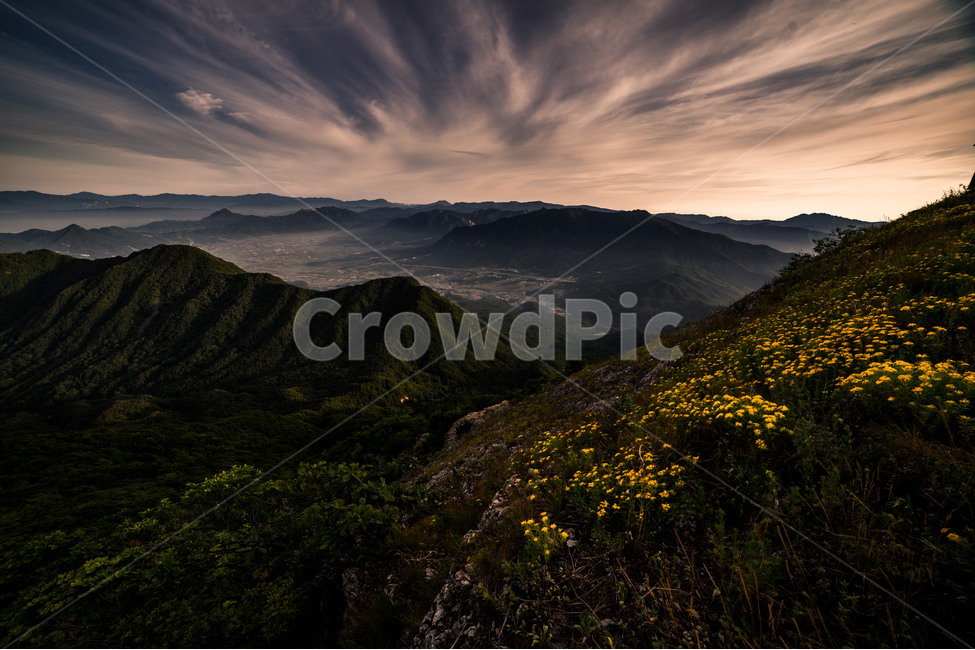 자연,풍경,식물,여명,하늘,산,운해,자연,풍경,nature,landscape,한국자연풍경,한국자연경관,korea nature landscape,outdoors,옥외,mountain,mountain range,산맥