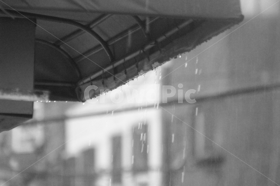 봄,골목,기억,옛생각,봄비,처마,비,비오는날,rain,rainy,흑백,모노톤,monochrome,black and white