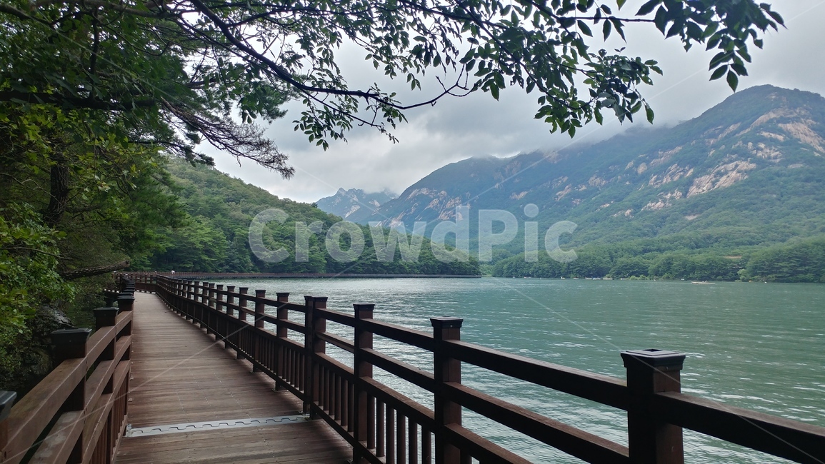 bridge,다리,산책로,데크,둘레길,난간,호수,물,water
