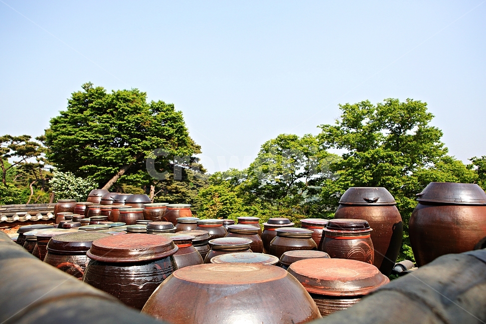 항아리,독,전통,장독,풍경,배경,자연,한국전통,한국문화,korean traditional,korean culture