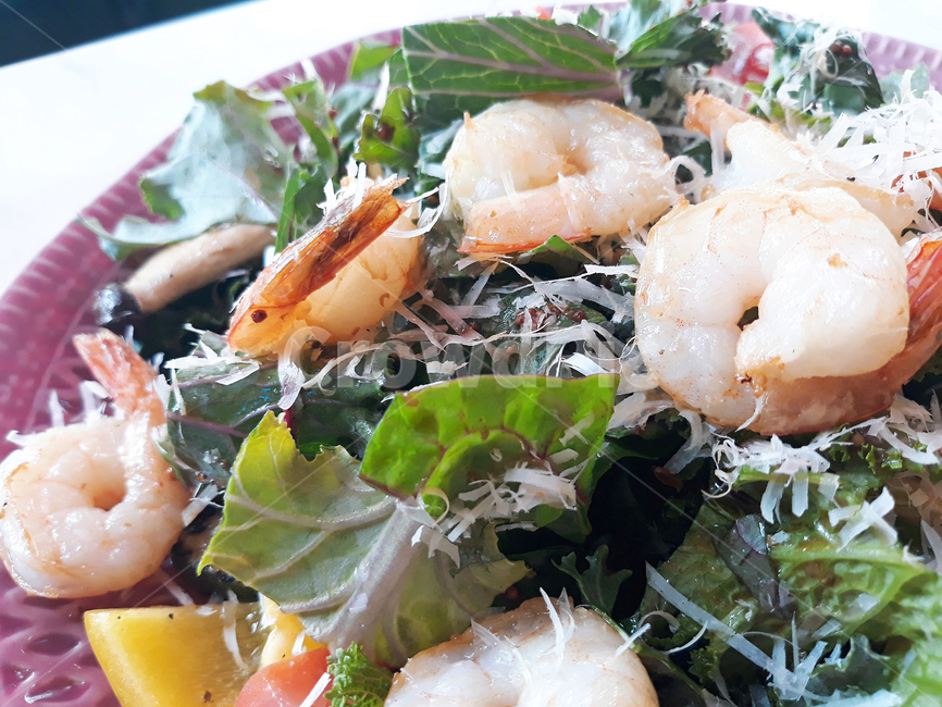샐러드,새우,파스타,에피타이저,음식,salad,shrimp,appitizer,음식,식재료,요리,food,cook,meal,dishes,food reserves