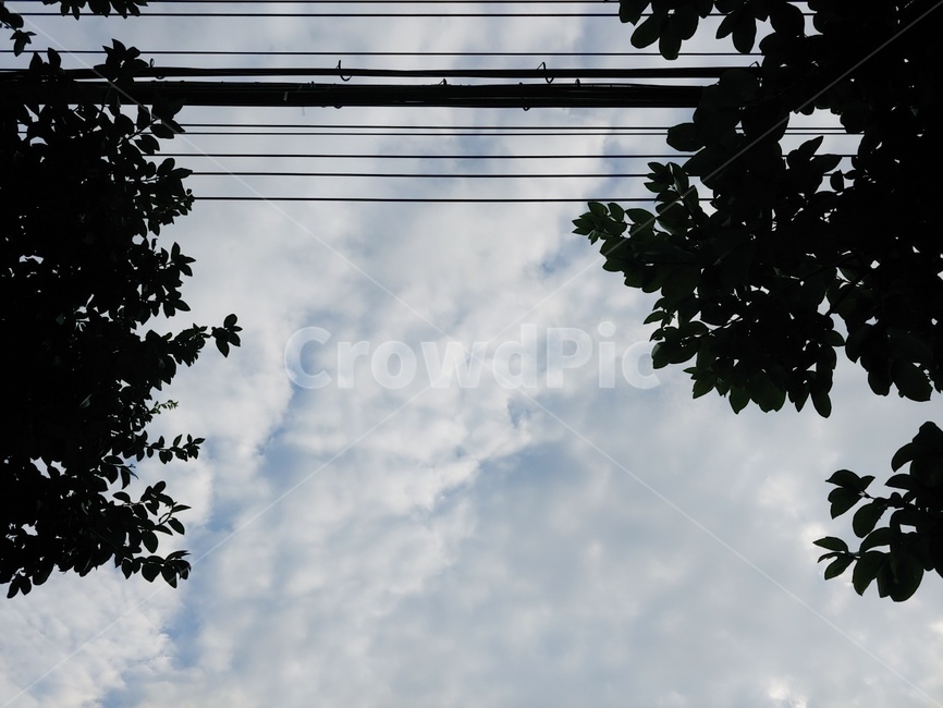 구름,cloud,하늘,sky,풍경,전깃줄