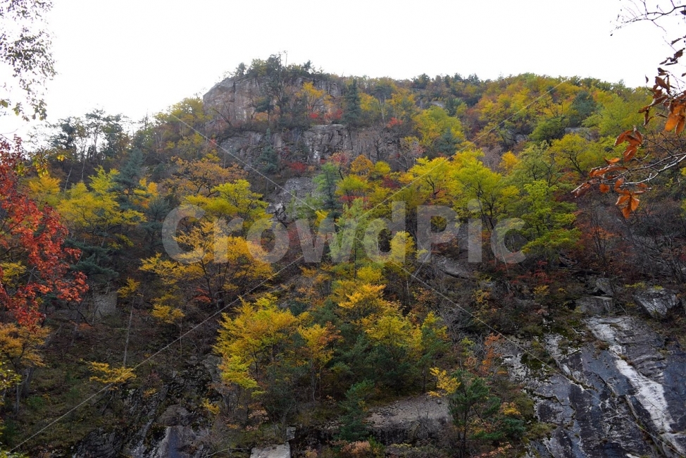 설악산,가을,단풍,풍경,백담사,구곡담계곡,수렴동계곡,계곡풍경,오색단풍,가을색,그림같은풍경,가을단풍,자연,스포츠,등산,산행,nature,느낌,아름다운,다큐,필,계절,디자인,힐링,명산,국립공원,순백,트레킹,단풍잎,오색,칼라풀,뷰티플,단풍터널,단풍숲,산객,등산객,그림같은,감성,절경,자연,풍경,nature,landscape,가을,계절,fall,autumn,season,outdoors,옥외