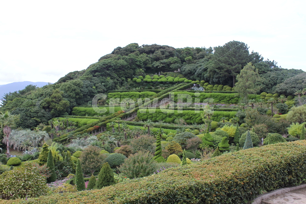 정원,배경,자연,나무,outdoors,옥외,nature,자연,풍경,nature,landscape