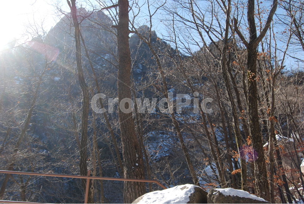 자연,nature,산,mountian,휴양지,겨울,계절,winter,season,자연,풍경,nature,landscape,tree,나무,plant,식물