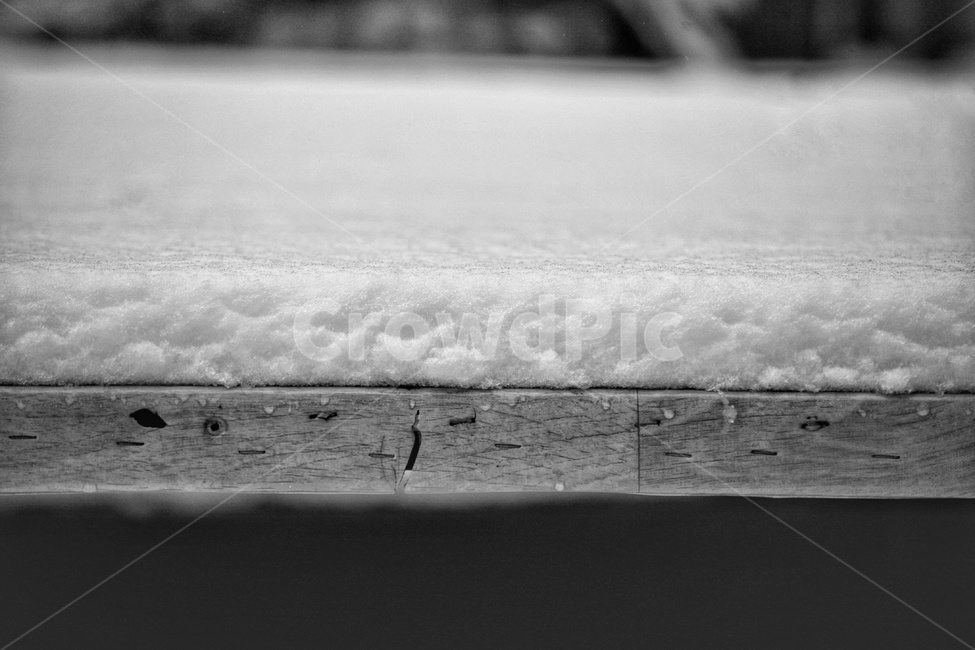 눈,폭설,제설,겨울,겨울비,겨울,계절,winter,season,흑백,모노톤,monochrome,black and white