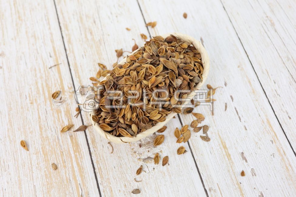 연교,개나리열매,개나리,연교열매,약재,한약재,한방재료