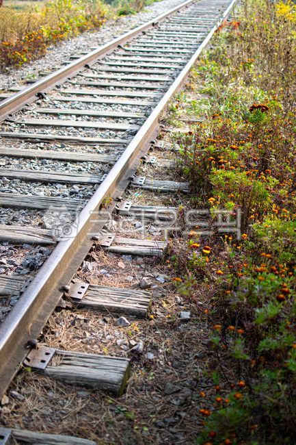 철길,철도,기차길,기차,gravel,자갈,road,도로,철로,선로,레일,rail,railroad,train,railway,transportation,교통