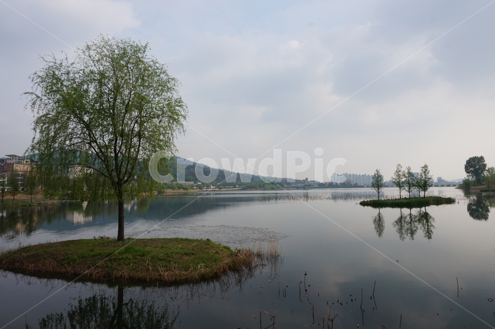호수공원,천안,호수,나무,자연,풍경,하늘,구름,안개,물,자연,풍경,nature,landscape