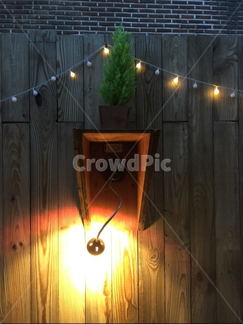 light,mood,감성사진,tree,moment