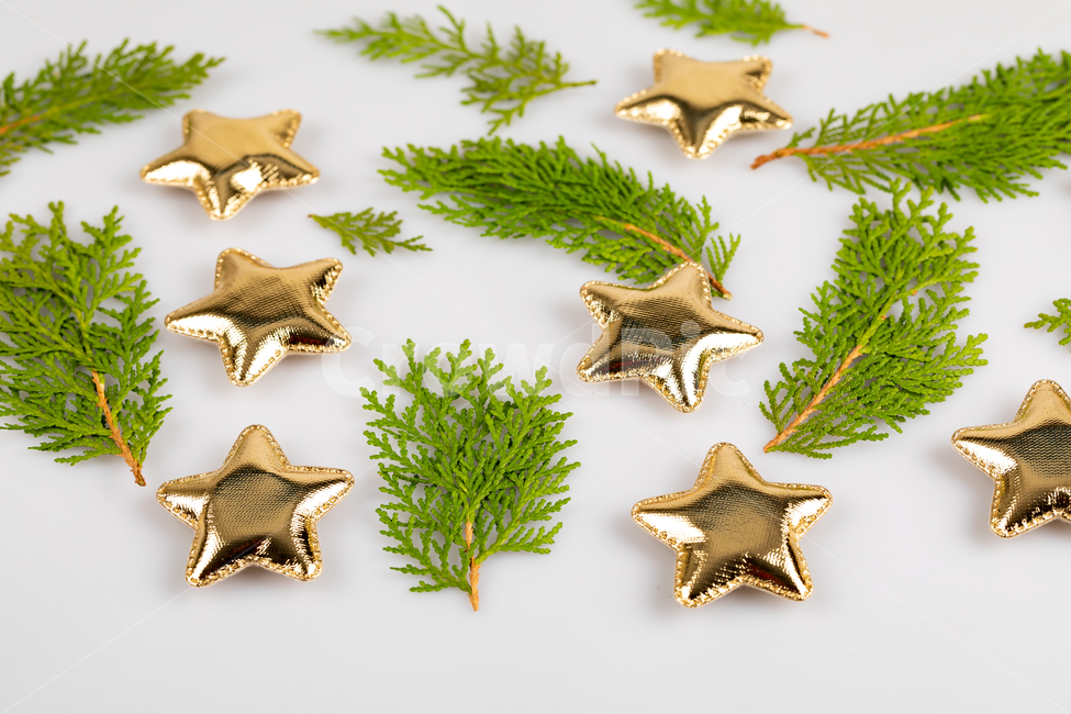 장식,크리스마스,골드,별,잎,식물,메리크리스마스,성탄절,merry christmas
