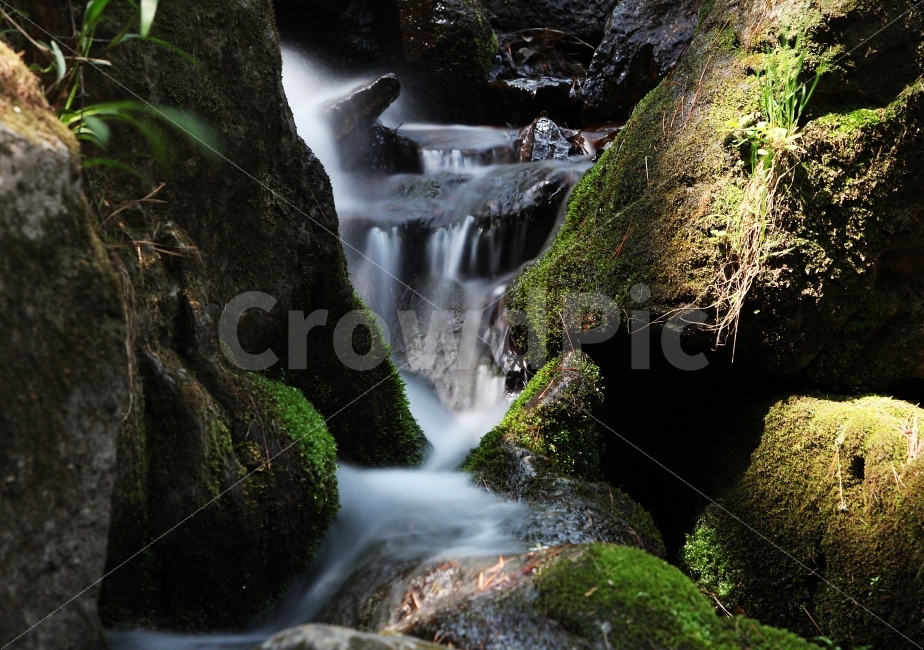 안성,석남사,계곡,장노출,nd필터,자연,풍경,nature,landscape,여름,계절,summer,season,water,물,river,강,outdoors,옥외,plant,식물,moss,이끼