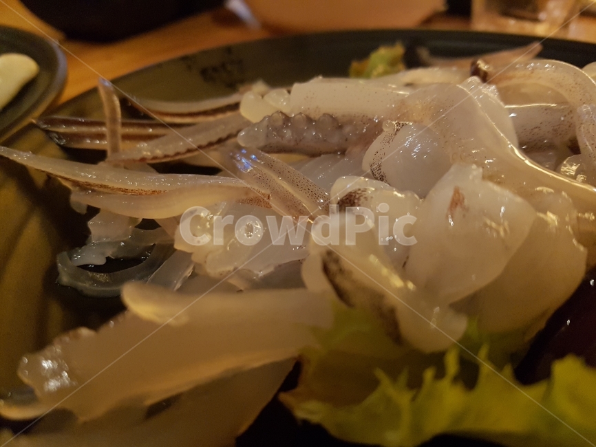 오징어,오징어회,소주,오징어철,소주안주,회,음식,식재료,요리,food,cook,meal,dishes,food reserves,수산물,해산물,fishery products,seafood