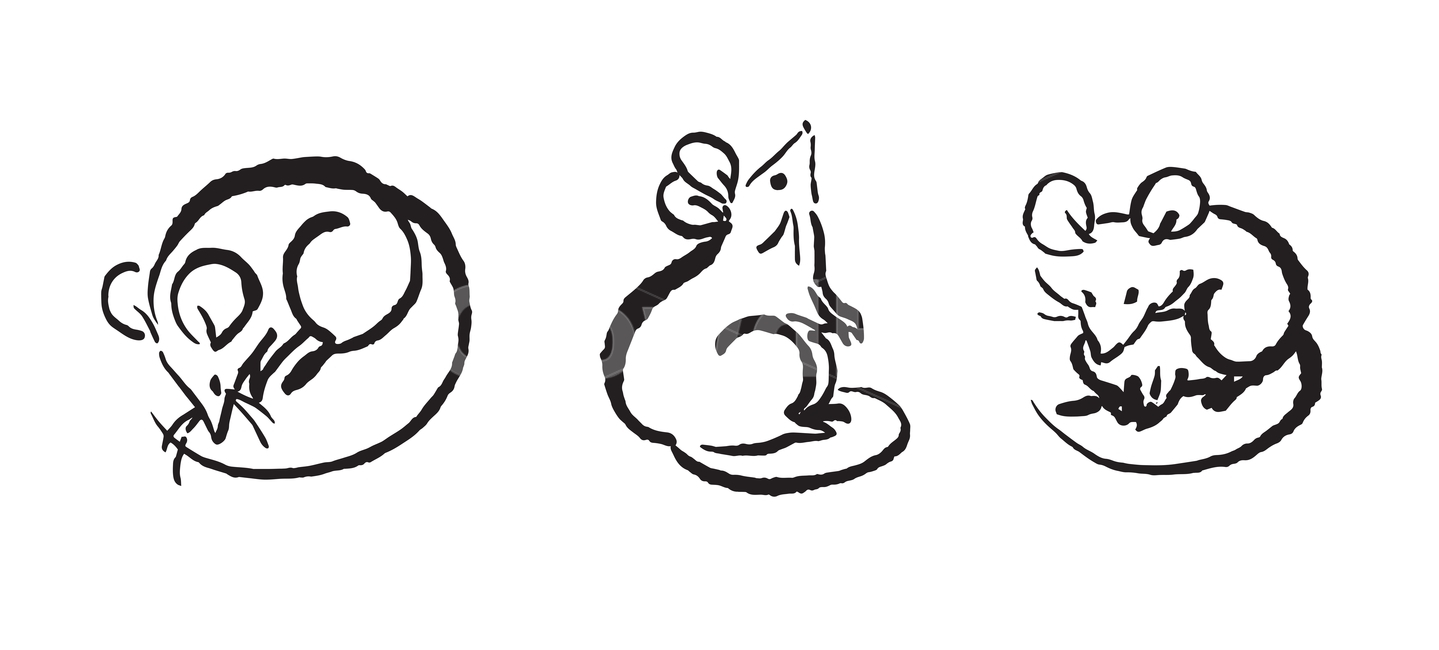 쥐,2020,생쥐,마우스,mouse,rat,캘리그라피,스타일,잉크,흑백,먹,일러스트,벡터,동물,손그림,새해,수채화,디자인소스,쥐그림,경자년,새해,new year