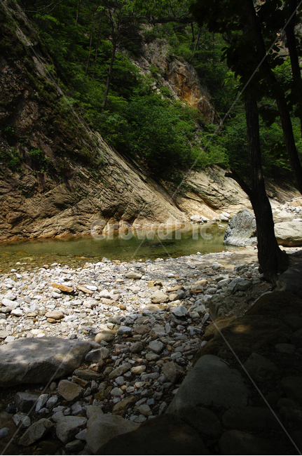 계곡,바위,암석,풍경,나무,설악산,자연,풍경,nature,landscape