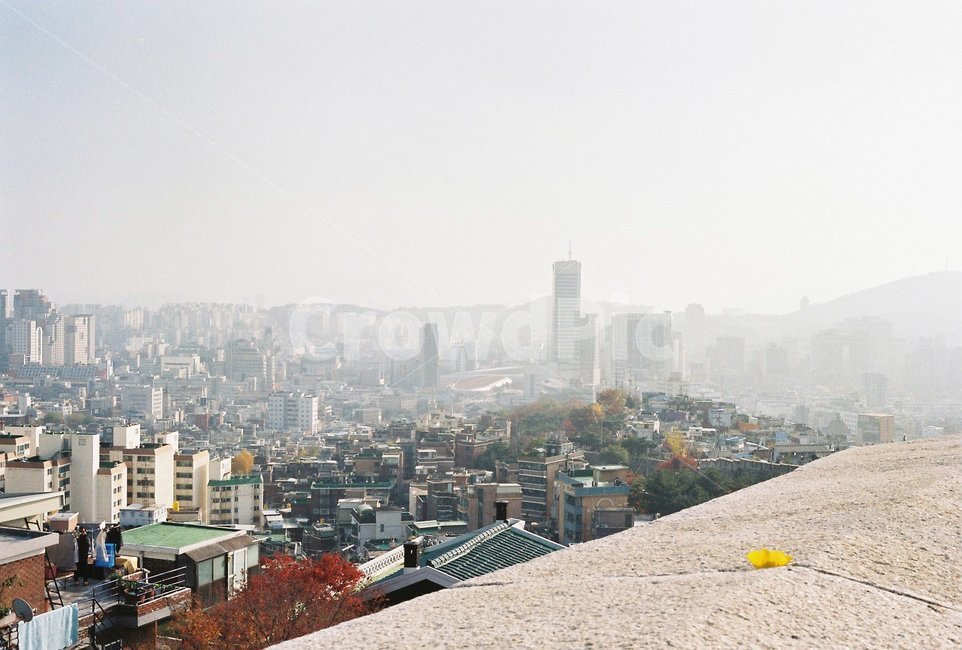 서울,동대문,공원,필름,미세먼지,도시,풍경,city,landscape,한국도시풍경,한국도시경관,korea cityscape,경치,outdoors,옥외,nature,자연,scenery,town,metropolis,중심지,urban,어반,building,건물,시티