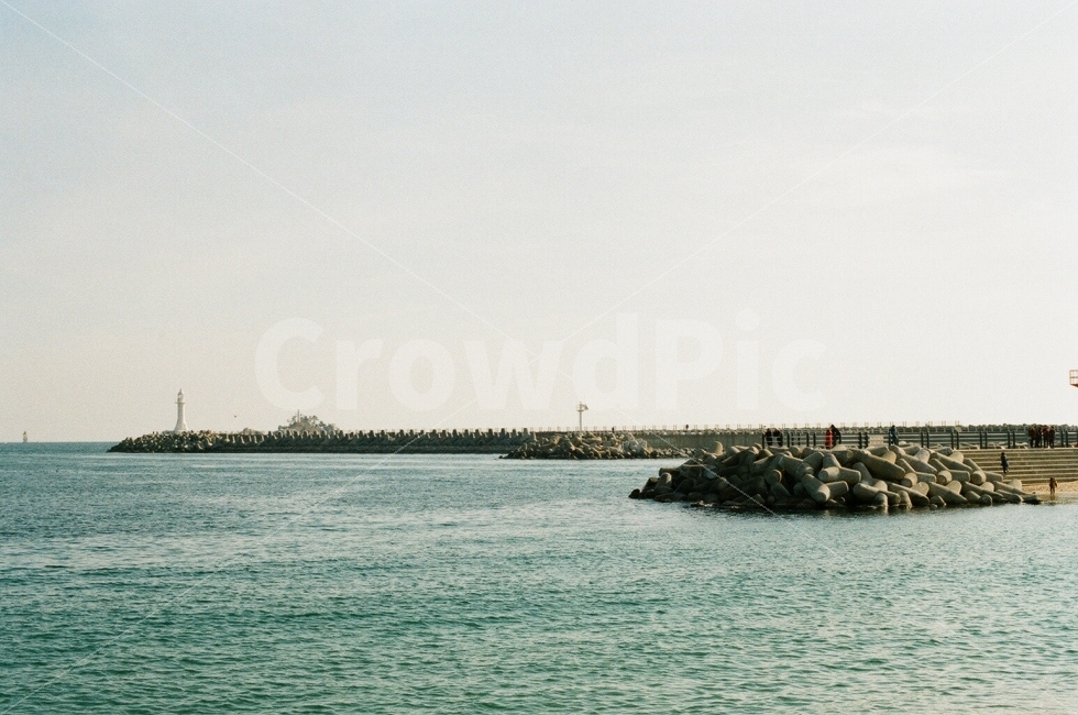 바다,제주도,해변,대한민국,필름사진,감성사진,겨울바다,겨울,필름,아날로그,sensitive,winter,sea,wintersea,film,analog,jeju,korea,자연,풍경,nature,landscape,제주도,jeju,jeju island,outdoors,옥외,land,땅,water,물,ocean,대양,shoreline,해안선,coast,연안