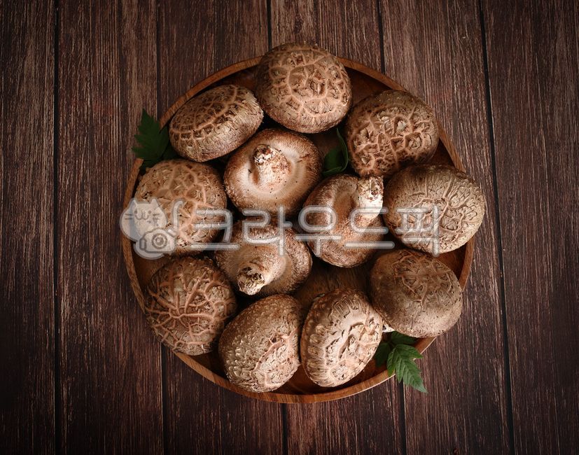 elevation,elevation elevation,Mushroom Shiitake,mushroom,Shiitake mushrooms