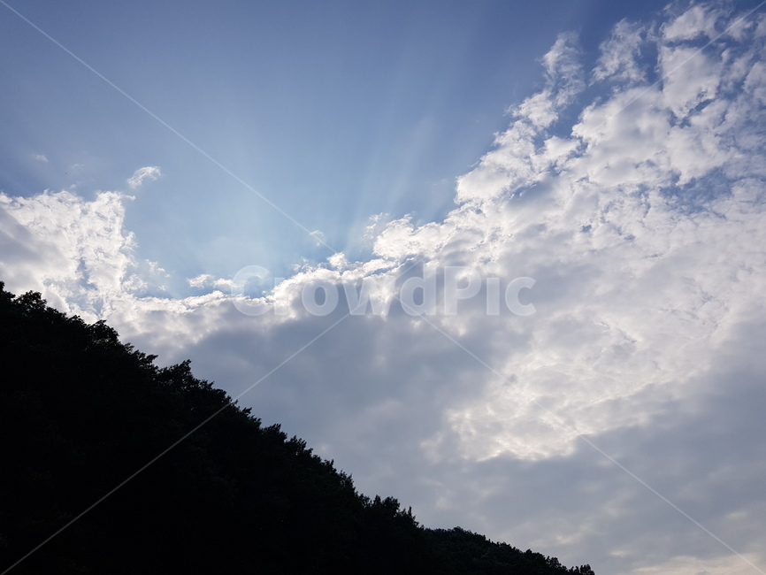 하늘,구름,파란하늘,나무,뭉게구름,산,풍경,cloud,sky,tree,하얀구름,흰구름,bluesky