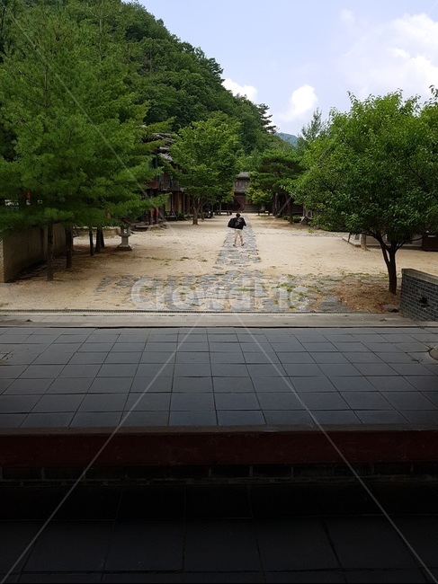 나무,산,하늘,숲,소나무,자연,풍경,nature,landscape,flagstone,판석,path,통로,walkway,보도