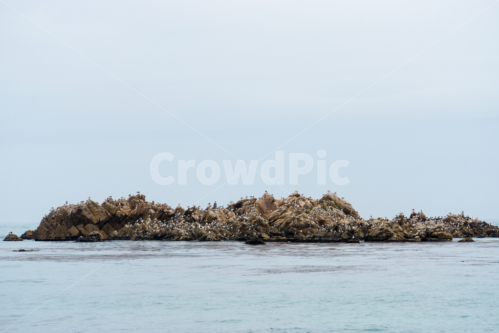 대왕암,바다,바위,갈매기,풍경,경주,대본,감포,자연,풍경,nature,landscape,outdoors,옥외,land,땅,water,물,shoreline,해안선,ocean,대양,sea,architecture,건축물,building,건물,tower,탑
