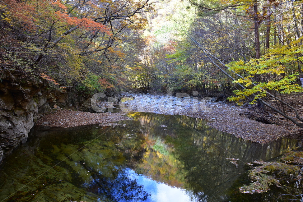 가을,단풍,울긋불긋,알록달록,형형색색,풍경,계절,시즌,아름다운,오색,주왕산,절골,계곡,비경,감성,힐링,가을,계절,fall,autumn,season,water,물,nature,자연,outdoors,옥외,land,땅,stream,흐름,creek,작은 만