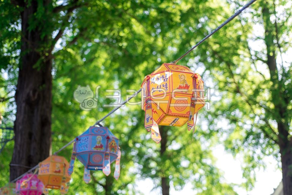 Buddha,Buddhism,Buddhas birthday,temple,Sakyamuni,lantern,anniversary,religion