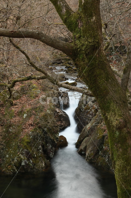 water,물,개울,가을산,치악산,자연