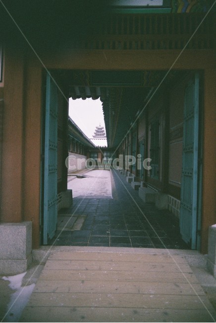 풍경,필름카메라,경복궁,궁궐,문,대문,단청,기와,겨울,겨울풍경,감성,emotion,전통,한국,한국풍경,국내,한국전통,한국문화,korean traditional,korean culture,건축물,건물외관,exterior,building,structure,architecture,construction
