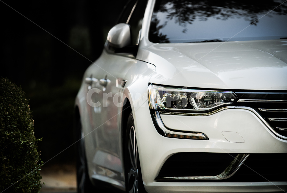 자동차,포커스,헤드라이트,근접,car,focus,headlight,교통,교통수단,traffic,transportation