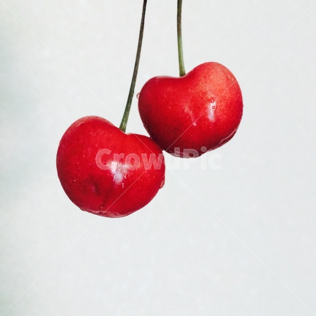 과일,체리,빈티지,fruit,cherry,vintage