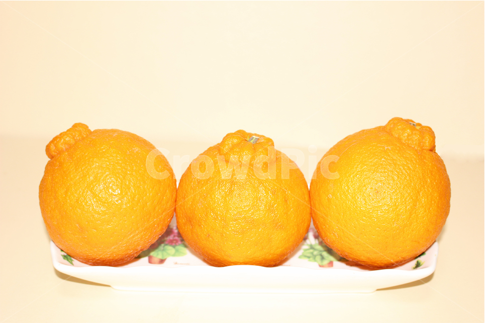 한라봉,오렌지,과일,음식,웰빙,생과일,디저트,다이어트,과일,열매,fruit