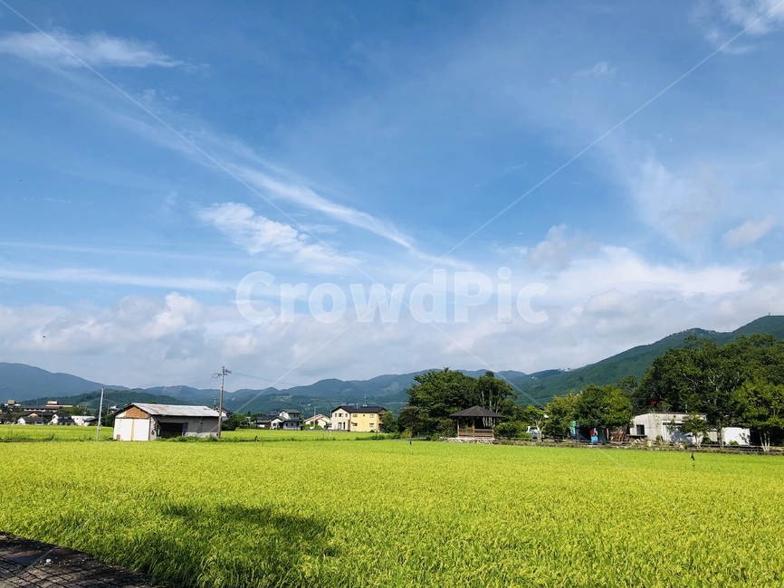 nature,자연,들,field,농촌,시골,마을,풍경,landscape,country,rural,town
