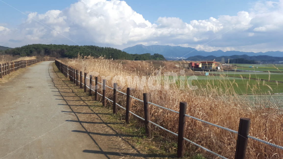 Color contrast,bicycle,shadow,road,countryside