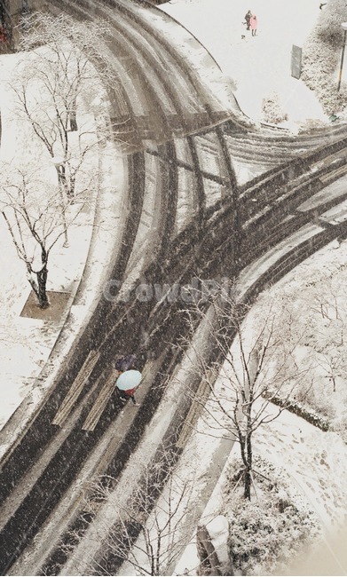 눈,겨울,차도,도로,길,색감,배경,무늬,겨울,계절,winter,season,감성,sensible,feeling