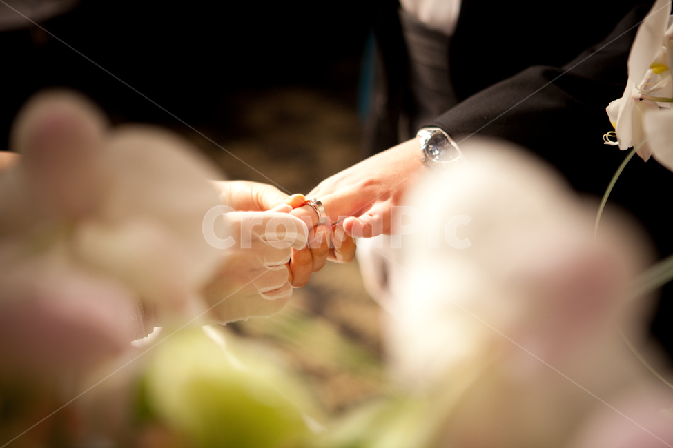 wedding ring,exchange of gifts,ring,Wedding ceremony