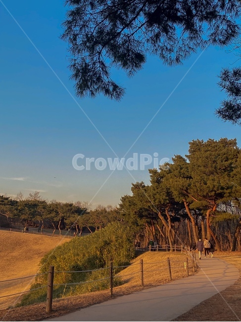 자연,nature,올림픽공원,공원,park,노을,해질녘