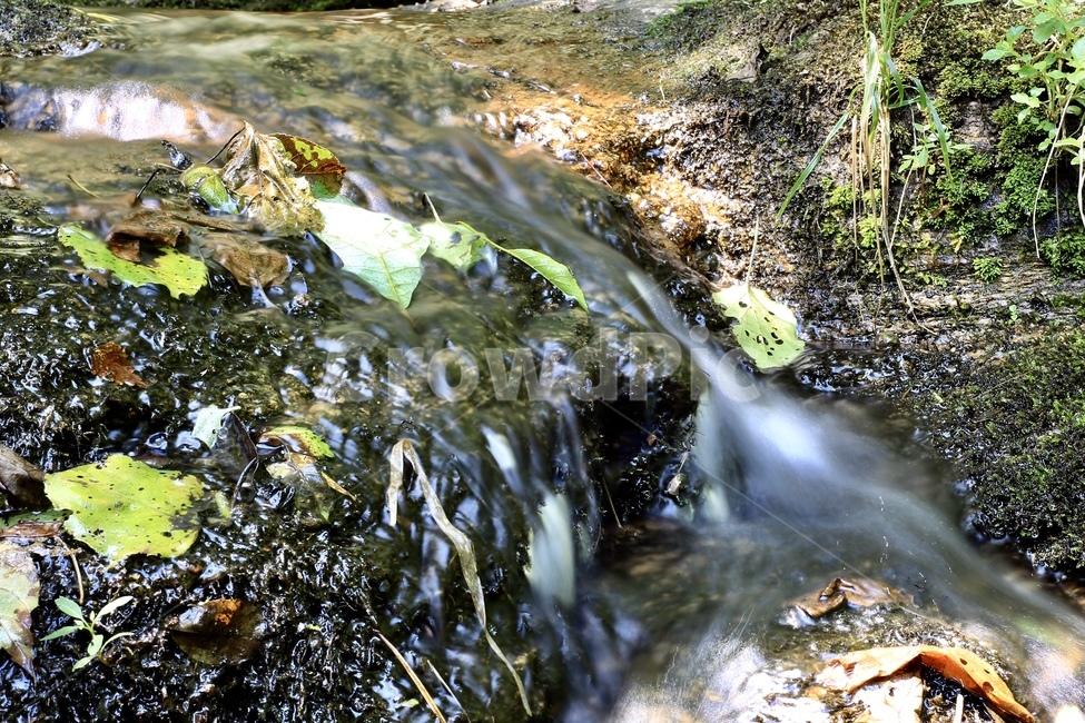 환성사계곡,환성사,이끼,시원한물,여름,자연,풍경,nature,landscape,water,물,outdoors,옥외