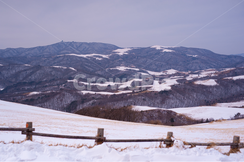 평창,대관령,삼양목장,눈,산,자연,풍경,겨울,계절,winter,season,자연,풍경,nature,landscape,한국자연풍경,한국자연경관,korea nature landscape,outdoors,옥외,mountain,mountain range,산맥,plateau,고원