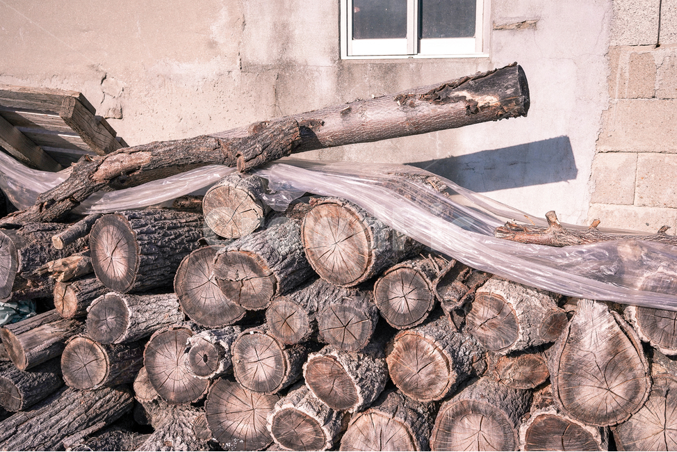 통나무,나무,목재,장작,wood,원목,질감,자연,나무,trees,wood