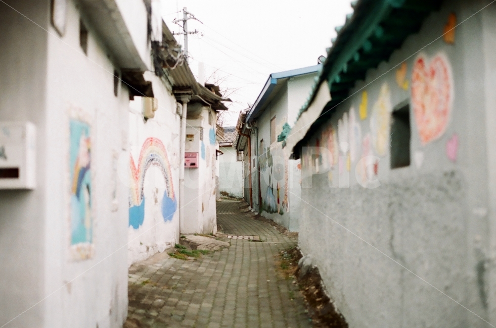벽화마을,골목,골목길,두류벽화마을,필름사진,골목길,alley,예술,art,walkway,보도,path,통로,pavement,포장,sidewalk