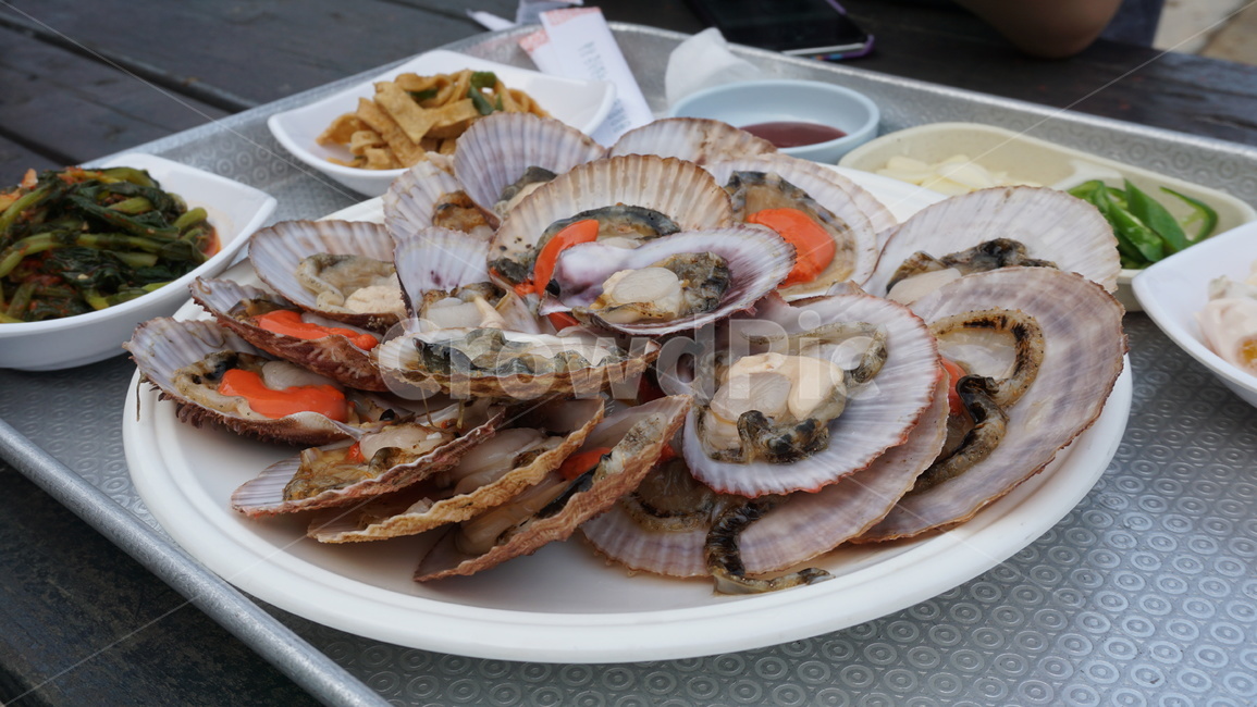음식,가리비,가리비회,회,food,음식,식재료,요리,food,cook,meal,dishes,food reserves